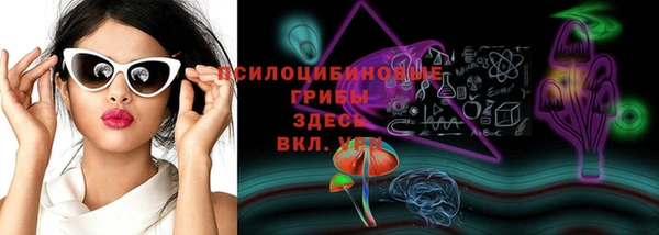 дмт Белокуриха
