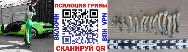omg ссылки  Высоцк  Галлюциногенные грибы мухоморы 